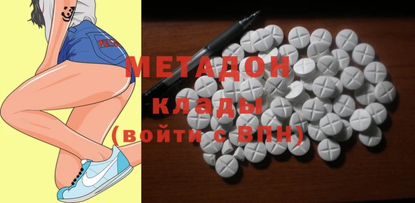 шишки Ельня