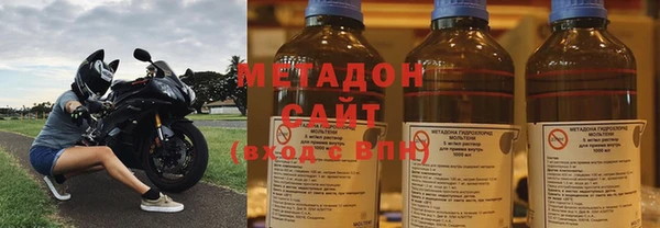 шишки Ельня