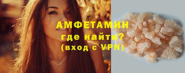 шишки Ельня