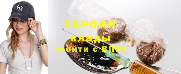 шишки Ельня