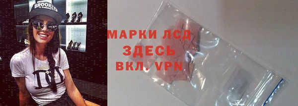 шишки Ельня