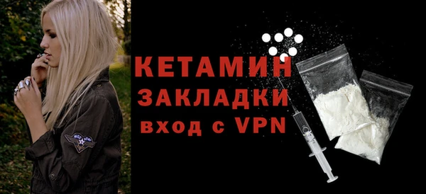 шишки Ельня