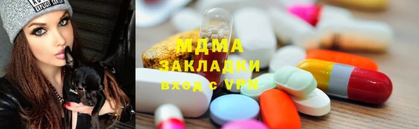 шишки Ельня