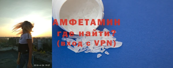 шишки Ельня