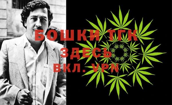 шишки Ельня