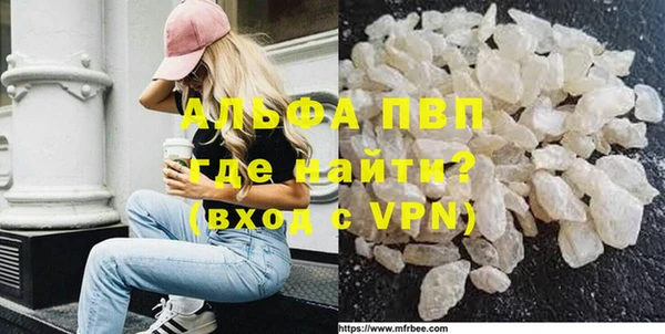 шишки Ельня