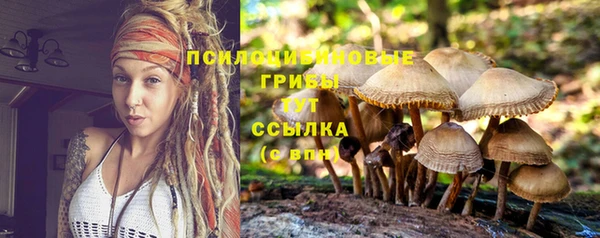 шишки Ельня