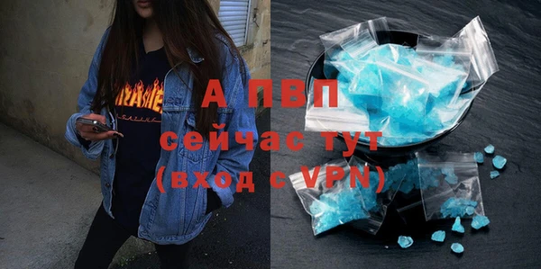 шишки Ельня