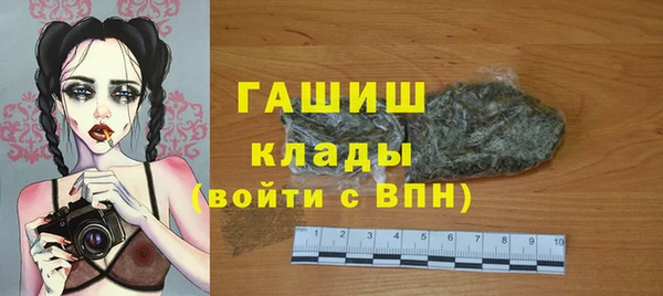 шишки Ельня