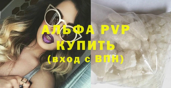 шишки Ельня