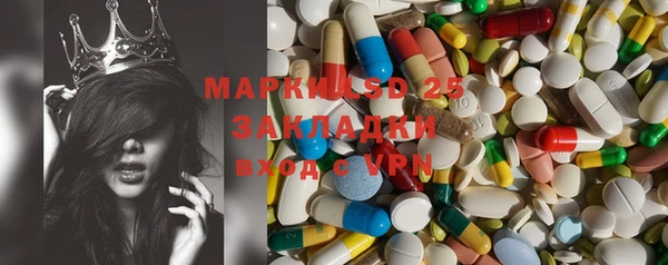 шишки Ельня