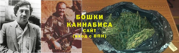 шишки Ельня