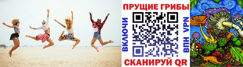 Галлюциногенные грибы Cubensis  купить закладку  kraken зеркало  Котлас 